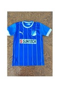 koszulka klubowa sportowa Puma piłkarska tsg 1899 hoffenheim t-shirt bluzka