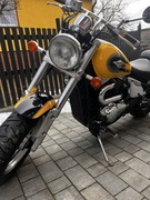 Suzuki Marauder vz 800