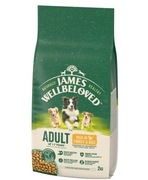 JAMES WELLBELOVED Adult Monobiałkowa Sucha Karma Dla Psa Z Indykiem 2kg