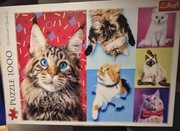 Puzzle 1000 Trefl Wesołe koty