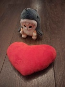 Pluszowe serce i kot-rekin