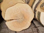 20 JESION 65/60/10 cm Blat Plaster Drewna Stolik Żywica Epoxy DIY Live Edge