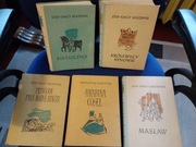 Kraszewski. 5 książek. Królewscy synowie, Masław, Boleszczyce