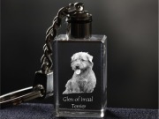 Glen of Imaal Terrier brelok sześcienny ŚWIECĄCY 