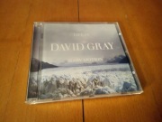 DAVID GRAY - LIFE IN SLOW MOTION CD