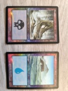 Foliowane Landy (Island & Swamp) z 7. Edycji - Rob Alexander - Kolekcj