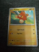 Karta Pokemon Pokemon 