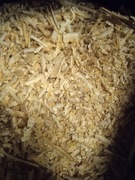 Trociny dla gryzoni, grube, wiórki odpylone 1 kg