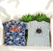 2 koszulki zestaw Coccodrillo 100% bawełna w rekiny 4 latka rozmiar 104