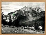 Tatry Dolina Chochołowska