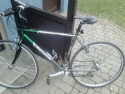 Rower Author super stan