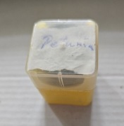 Bajka na rzutnik-Duszek Kacper: Poszukiwania księżniczki Petunii