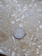 Moneta 1 zł z 1983 r. do renowacji dla Kolekcjonerów