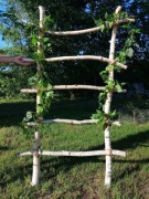 Drabinka brzozowa z girlandami ok. 200cm x 80cm