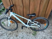 Rower KROSS EVADO Junior 1.0