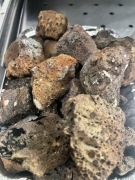 Lawa grill - kebab grill z kamieniami kawowymi