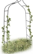 Łuk Pnący Ogrodowy