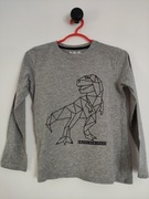 Bluzka z dinozaurem 5.10.15 rozmiar 128/134