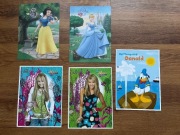 Karteczki Disney Księżniczki Kaczor Donald Hannah Montana 5 szt. (duże)