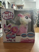 Bonnie, Roztańczona pluszowa lama 