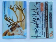 91KK - Renifer - NOWA