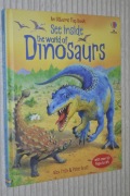 Usborne Flap Book See Inside / The world of DINOSAURS /50 okienek