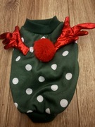 Ubranko dla pupila S nowe 