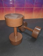 Hantla 15 kg  stan bdb