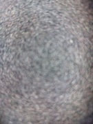 Telefon komórkowy LTC MOB30 24 MB / 32 MB 2G czarny