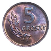5 groszy 1949 PRL piękne  [#1301]