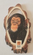 Magnes na lodówkę drewniany ZOO Lberec Czechy Republika Czeska(1K).