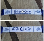 Bałtyk Gdynia klub sportowy 