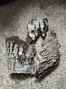 Kora brzozy naturalna do dekoracji terrarium DIY