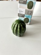 NOWA Dekoracja kaktus ceramiczny 7 cm