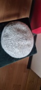 Czapka, a raczej beret damski - obwód 53 cm