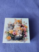 Urocze kociaki w Wiklinowym koszu.