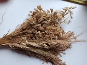 zboża mieszanka len proso mozga susz dla chomikow, gryzoni i ptaków  3szt