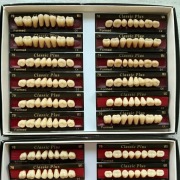 Zęby akrylowe Classic Plus V kolor mix szt.