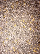 Łubin Łubin Łubin Łubin 