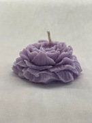 Naturalna Fioletowa Świeczka Sojowa Piwonia 