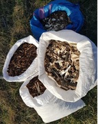 ZRĘBKA DRZEWNA NATURALNE PODŁOŻE DO OGRODU - 10kg