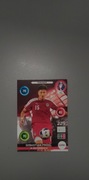 PANINI EURO 2016 Sebastian Prödl #231