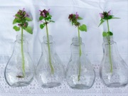 3-y wazony, szklanki w  kształcie żarówki