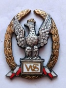 Odznaka -WZOROWY SZEF PODODDZIAŁU .Numerowana NR O639