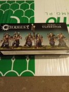 Ulfhednar/Bersekers Nords Conquest