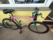 Rower marki AUTHOR do renowacji