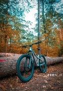 Dartmoor Hornet Pro 2022 27.5