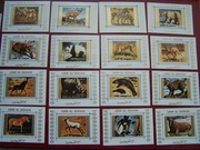 Umm Al Qiwain MNH Fauna Zwierzęta