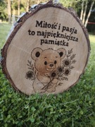Miś na plastrze brzozy. Miłość pirografia 