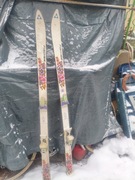 Narty Fischer 150cm wiązania Salomon